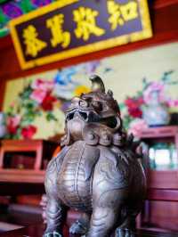 濱州｜後悔才來這座寶藏小城  在旅行的路上，和小朋友一起，遇見不同的自己，也遇見更好的世界 這次短途。
