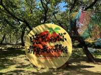 《蒙山栗子自然營地》。