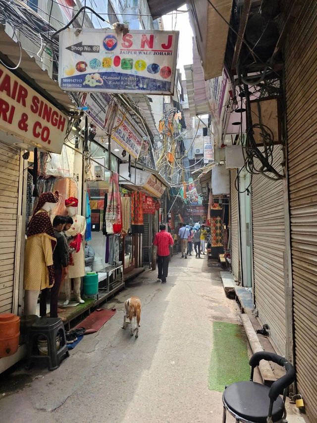 新德里：紅堡蓮花，古今交融。