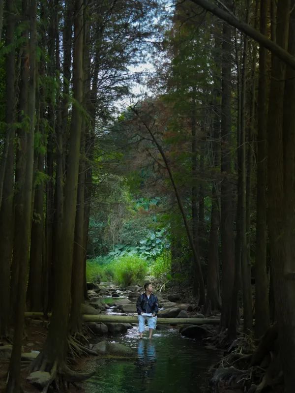 深圳公園探險指南🌳✨