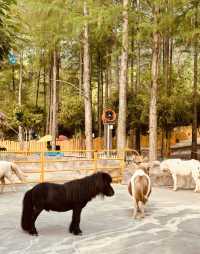武漢動物園遊玩攻略。