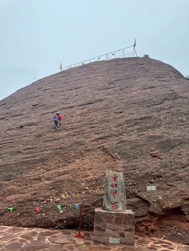 中衛寺口子山。