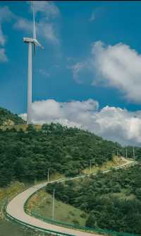 登頂牛草山，氣勢磅礡、心曠神怡。