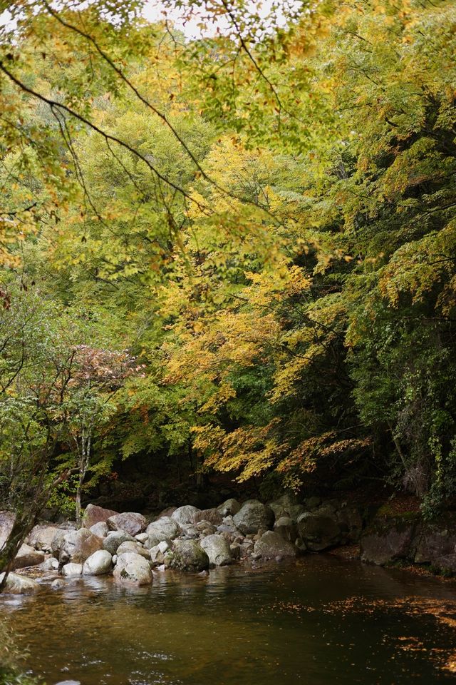 被秋天的光霧山美哭了！光霧山攻略。
