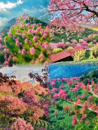 10-11月最適合自由行的5個城市。