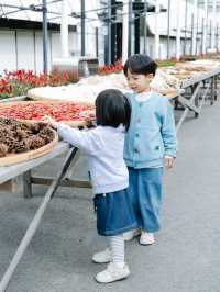 上海超FUN露營派對，一起「趣」環保。