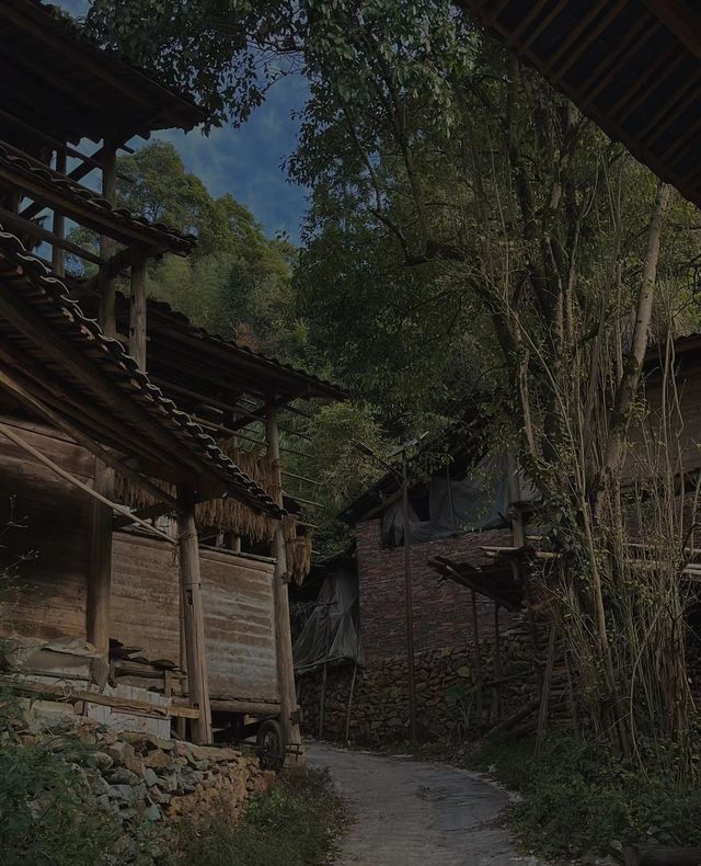 旅行|黃岡侗寨。