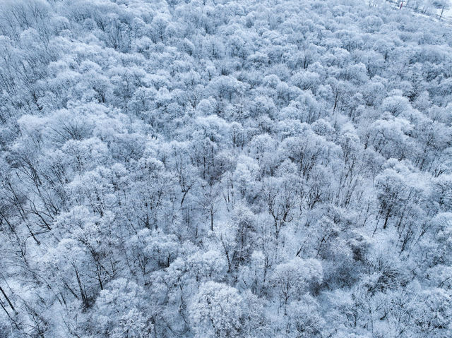 北大湖滑雪度假區 冰雪盛宴高山霧凇。
