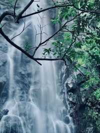 深圳馬峦山公園。