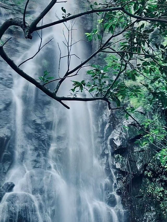 深圳馬峦山公園。