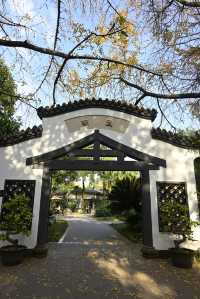 成都好逛的百花潭公園｜山水園林和城市錦繡的寫意。