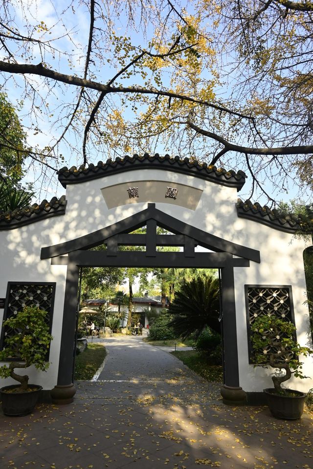 成都好逛的百花潭公園｜山水園林和城市錦繡的寫意。