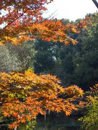 長風公園秋景。