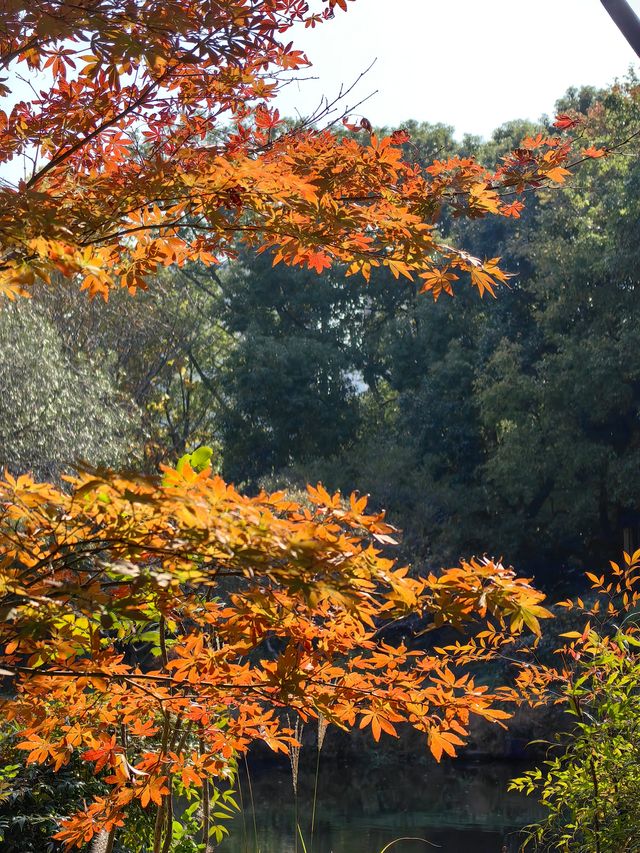 長風公園秋景。