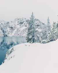 Winter Wonderland: 5-Day Yellowstone National Park Tour