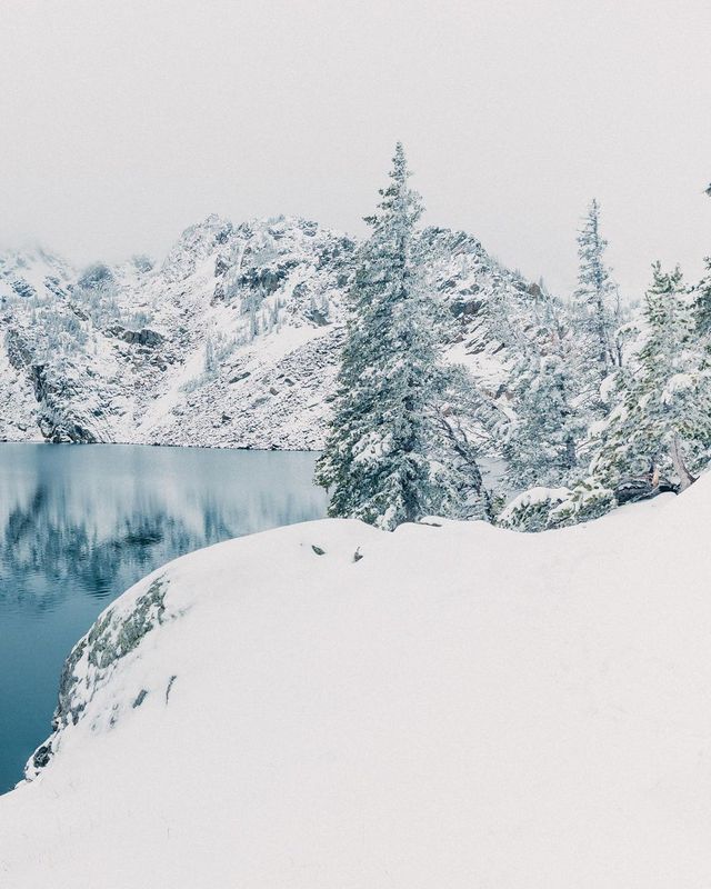 Winter Wonderland: 5-Day Yellowstone National Park Tour