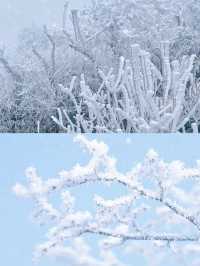 廣東也能看到雪，不是親眼目睹都不相信