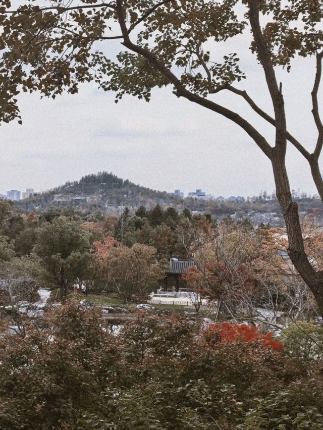 More than Just Mountains in Downtown SH!