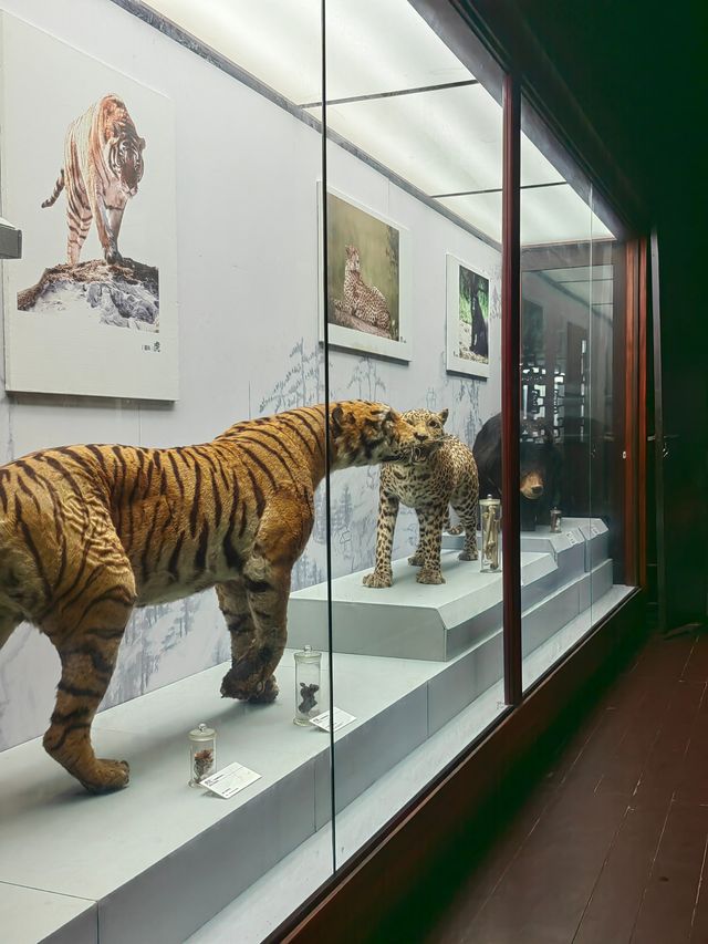 浙江杭州胡慶餘堂博物館