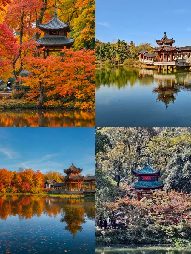 Changsha Yuelu Mountain Autumn Travel Guide