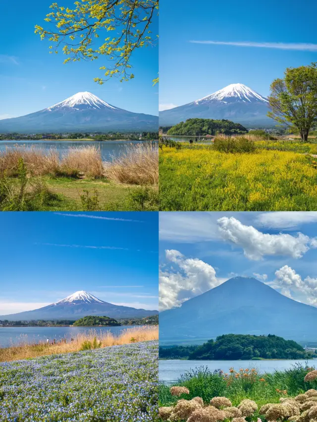 Kawaguchiko and Oishi Park: Encounter the Ultimate Beauty of Mount Fuji