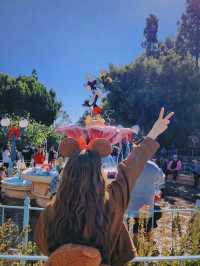 A Day at California Disneyland: 16 Rides and More!