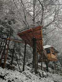 碧峰峽野奢之旅 | 暮雲春樹民宿遇見雪中的冬日戀歌