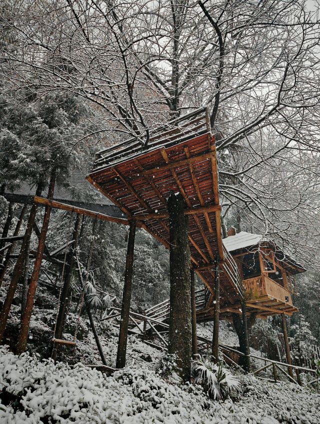 碧峰峽野奢之旅 | 暮雲春樹民宿遇見雪中的冬日戀歌