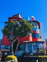 23天南美南極之旅（第七天）