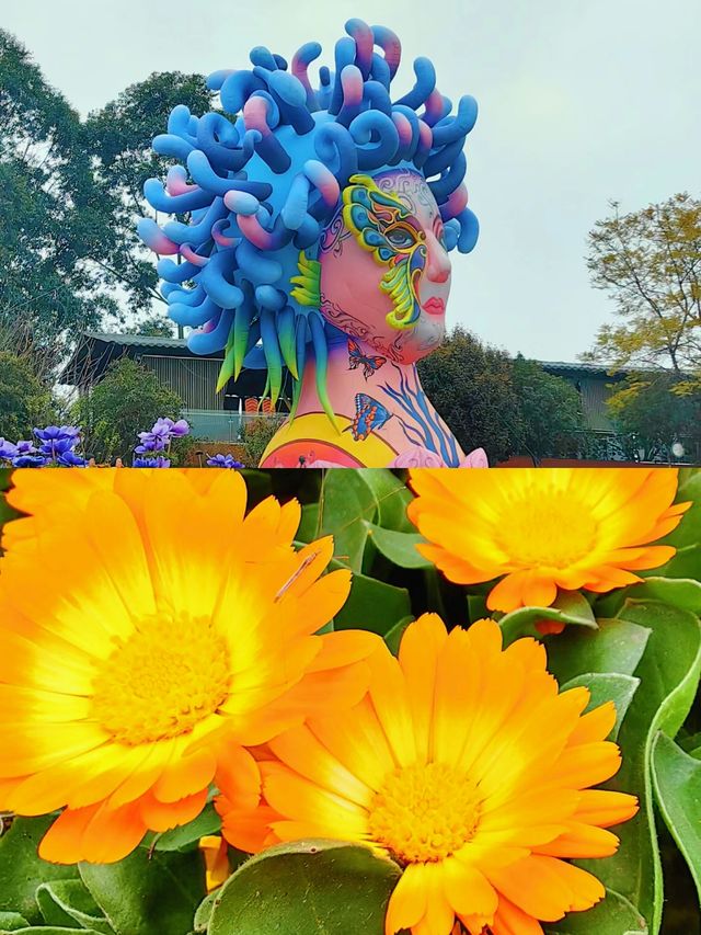 蜀南花海：夢幻之旅等你探索！