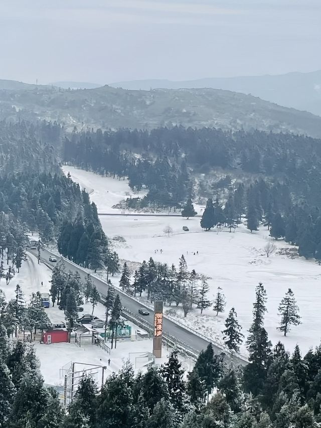 仙女山·在雪舞的世界，感受仙女山的純白童話