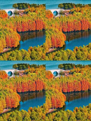 蘇州竟藏着這般「水上秘境」，98%的人都不知道！