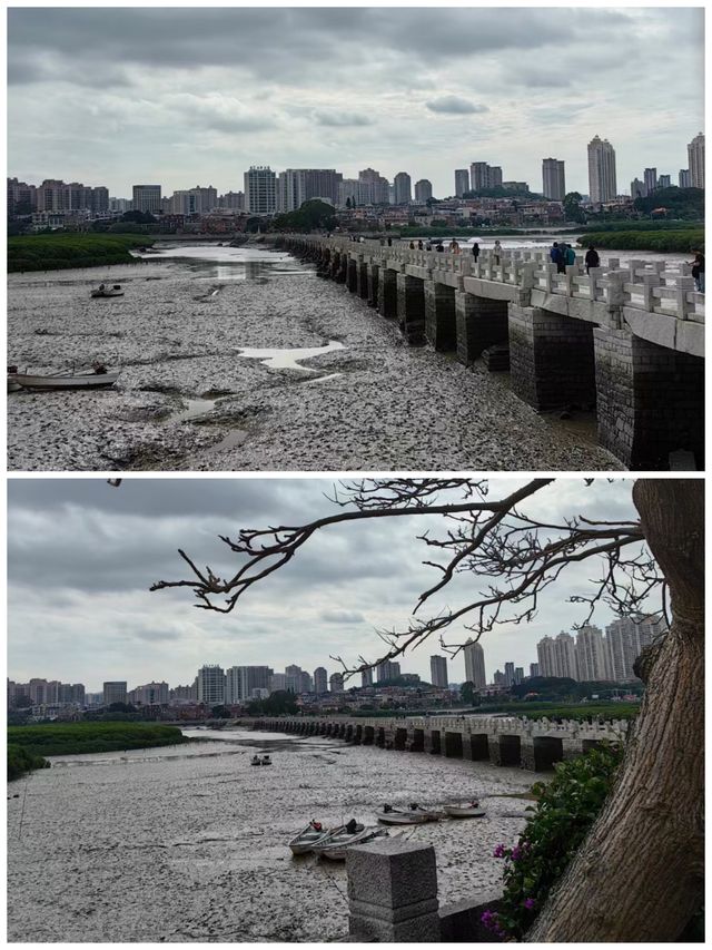 粵閩跟團遊丨泉州洛陽橋