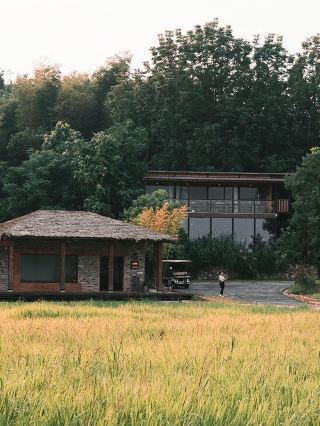 Spring Festival Niche Tour | Forest Hot Spring Wonderland near Wuhan