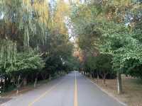 撫順月牙島生態公園：城市中的詩意綠洲