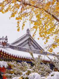 跨年要去瀋陽-延吉7日遊 美景不容錯過