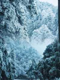 冬季廬山雪景 | 邂逅韓劇同款氛圍感