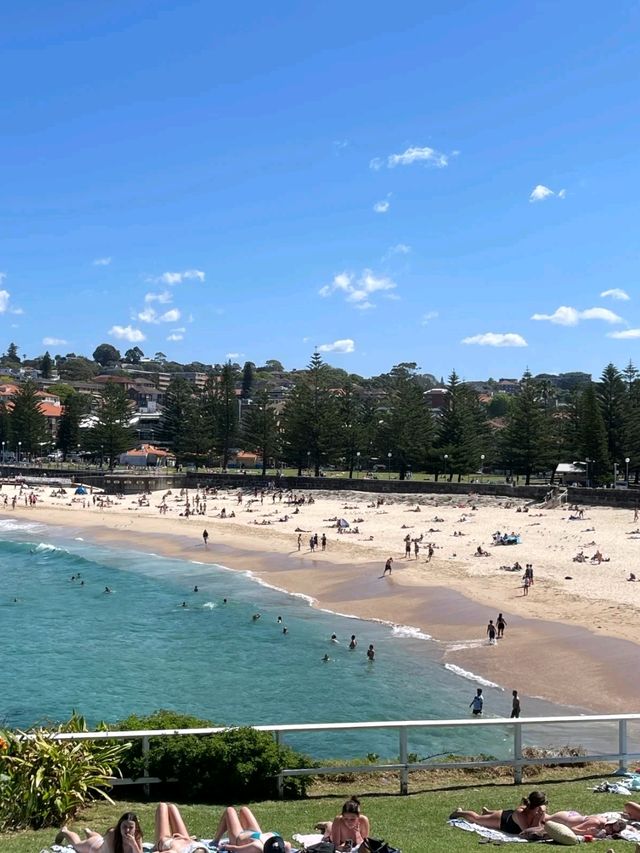 Stunning Bronte beach in Australia Sydney🥰