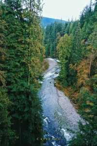 Explore the Famous Capilano Suspension Bridge in Vancouver, Canada