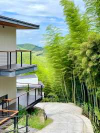 湖州慧心谷|住進山頂 villa 躺看千畝竹海茶園