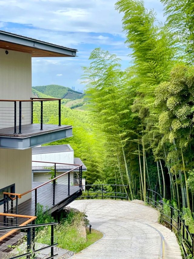湖州慧心谷|住進山頂 villa 躺看千畝竹海茶園