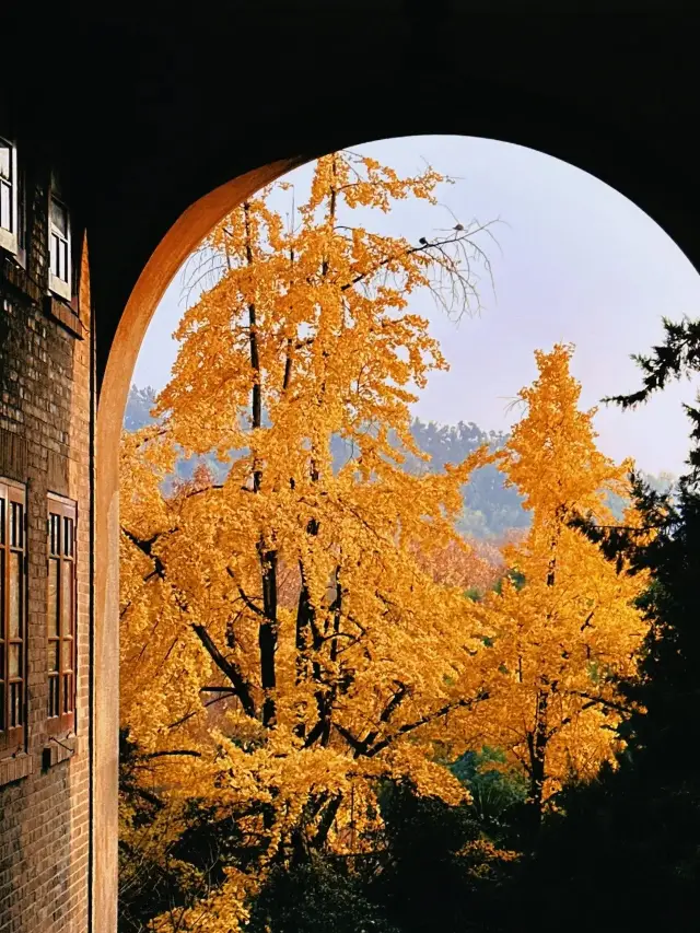Wuhan University in Fall: A Romantic Poem of Nature and Culture