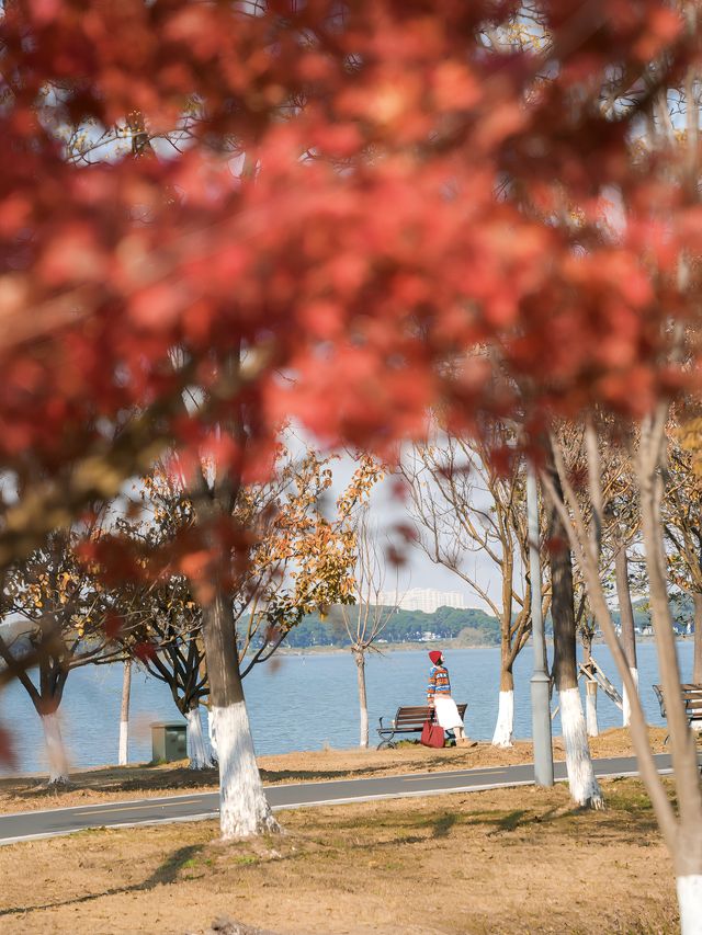 不擠蘇州園林,周邊人少景美賞秋拍照一日遊 不擠蘇州園林,周邊人少景美賞秋拍照一日遊