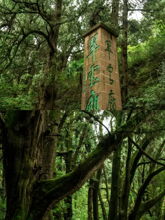 Hành lang Cuiyun, kỳ quan xanh trên đường Shu