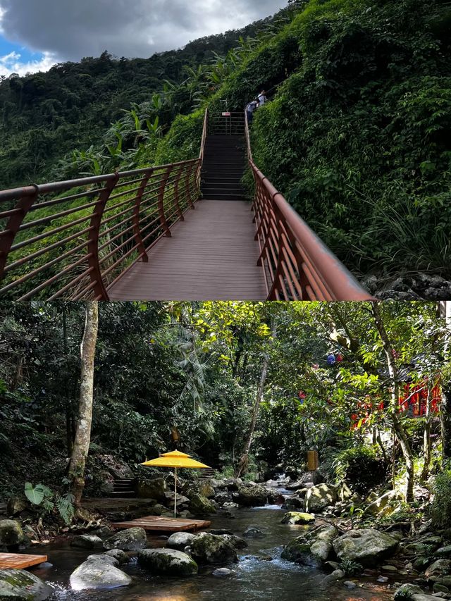 瓊中百花嶺—堪比亞馬遜的熱帶雨林
