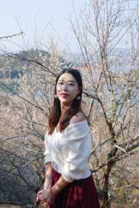 廣州周邊遊丨從化流溪香雪1.16實拍（附推薦）