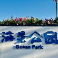 我來深圳海景公園啦！