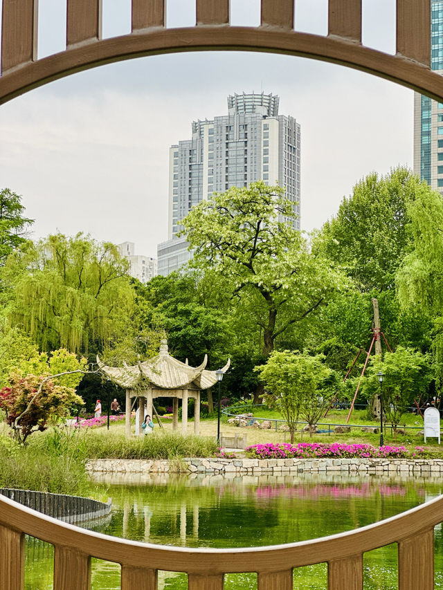 城市肺腑中的美麗畫卷| 中山公園