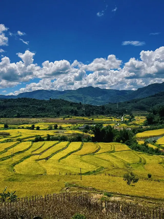 2 Days in Lancang: A Must-Read Guide