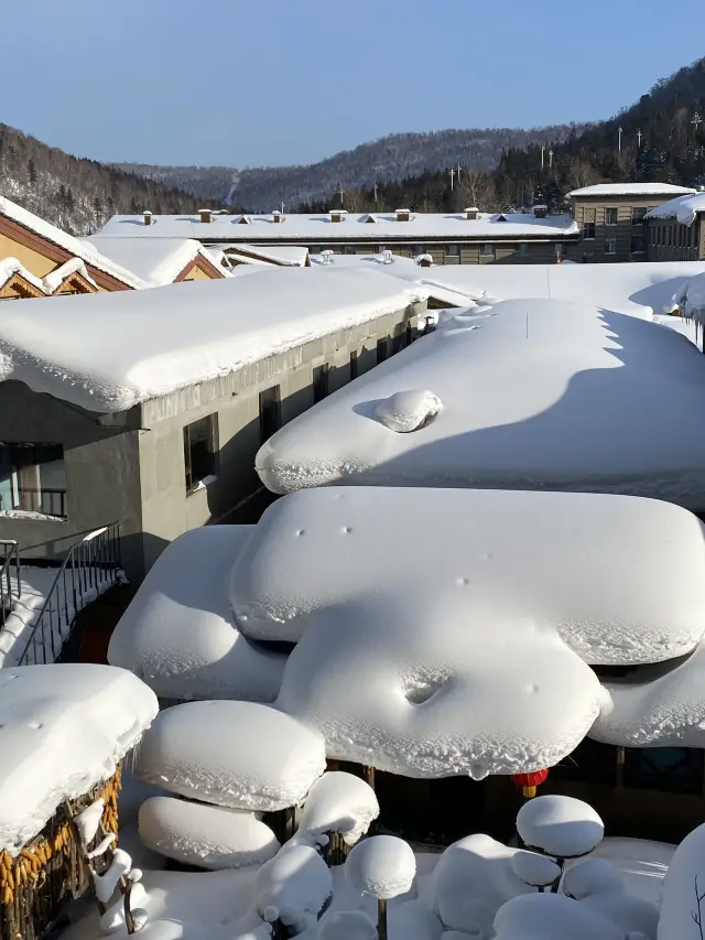 Lunar New Year Skiing in Harbin and Snow Town: The Ultimate Guide